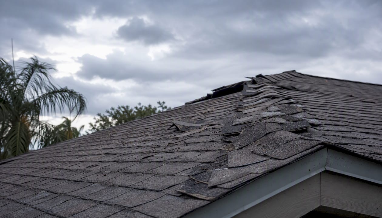 Coastal Roofing & Construction LLC | What Causes Roof Deterioration: A Homeowner's Guide Roof shingles lifted and curled by wind damage