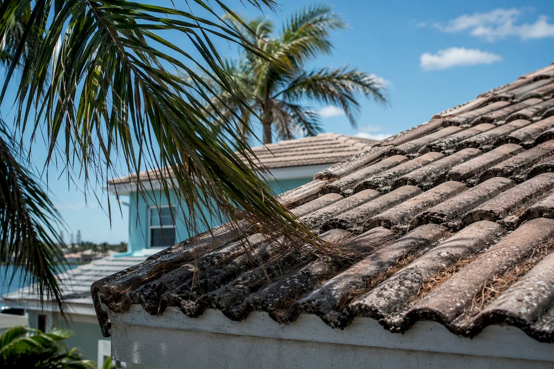 Weathered Florida coastal tile roofs with palm trees