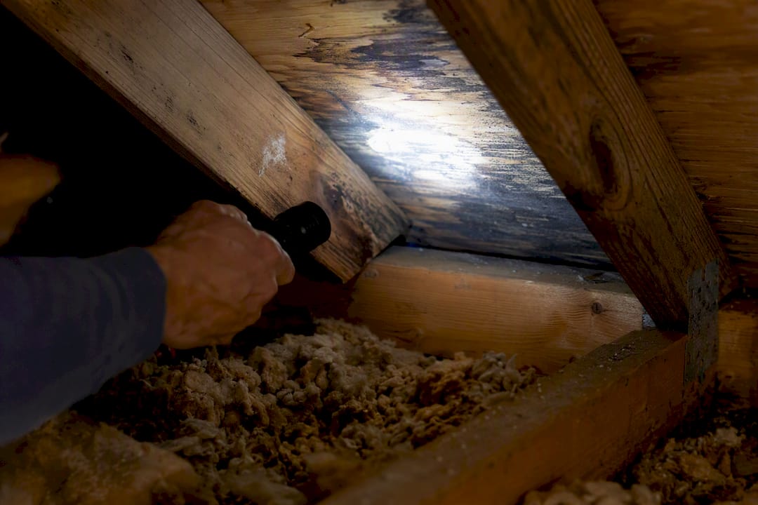 Hand holding flashlight inspecting attic roof leak