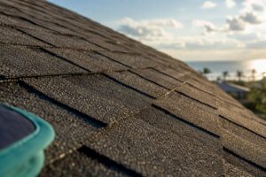 Sunlit asphalt shingles on Florida roof
