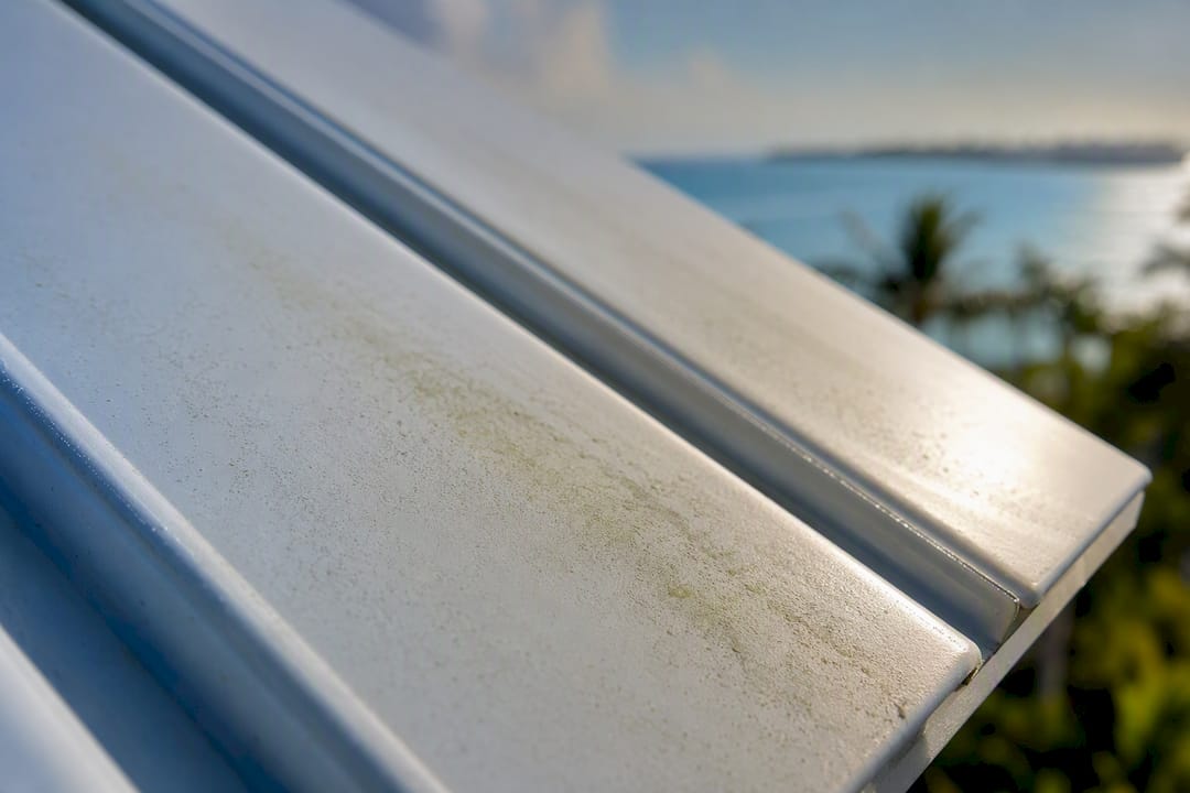 Coastal Roofing & Construction LLC | Contractor Approved Metal Roof Colors That Cut Heat for Coastal Homes Pollen and algae streaks on light roof panel