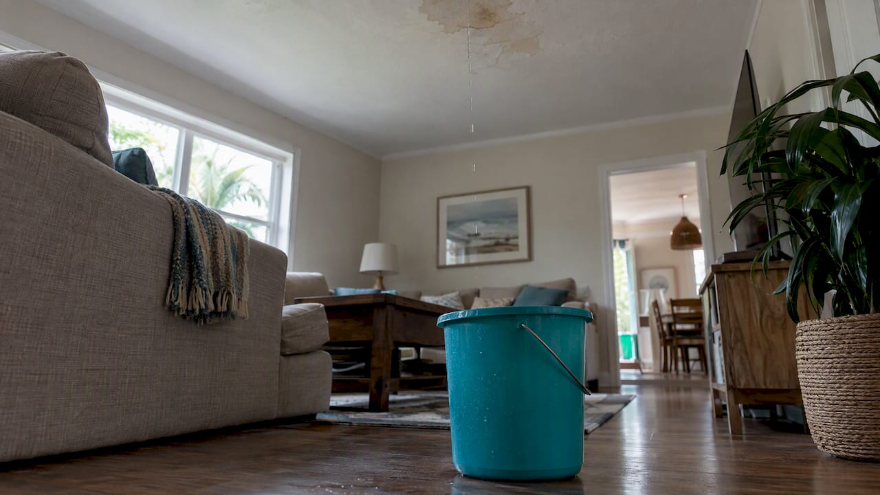 Coastal Roofing & Construction LLC | Florida Roof Flashing Leaks: 5 Types, Safe Checks, and Claim Rules Bucket catching a drip beneath ceiling stain